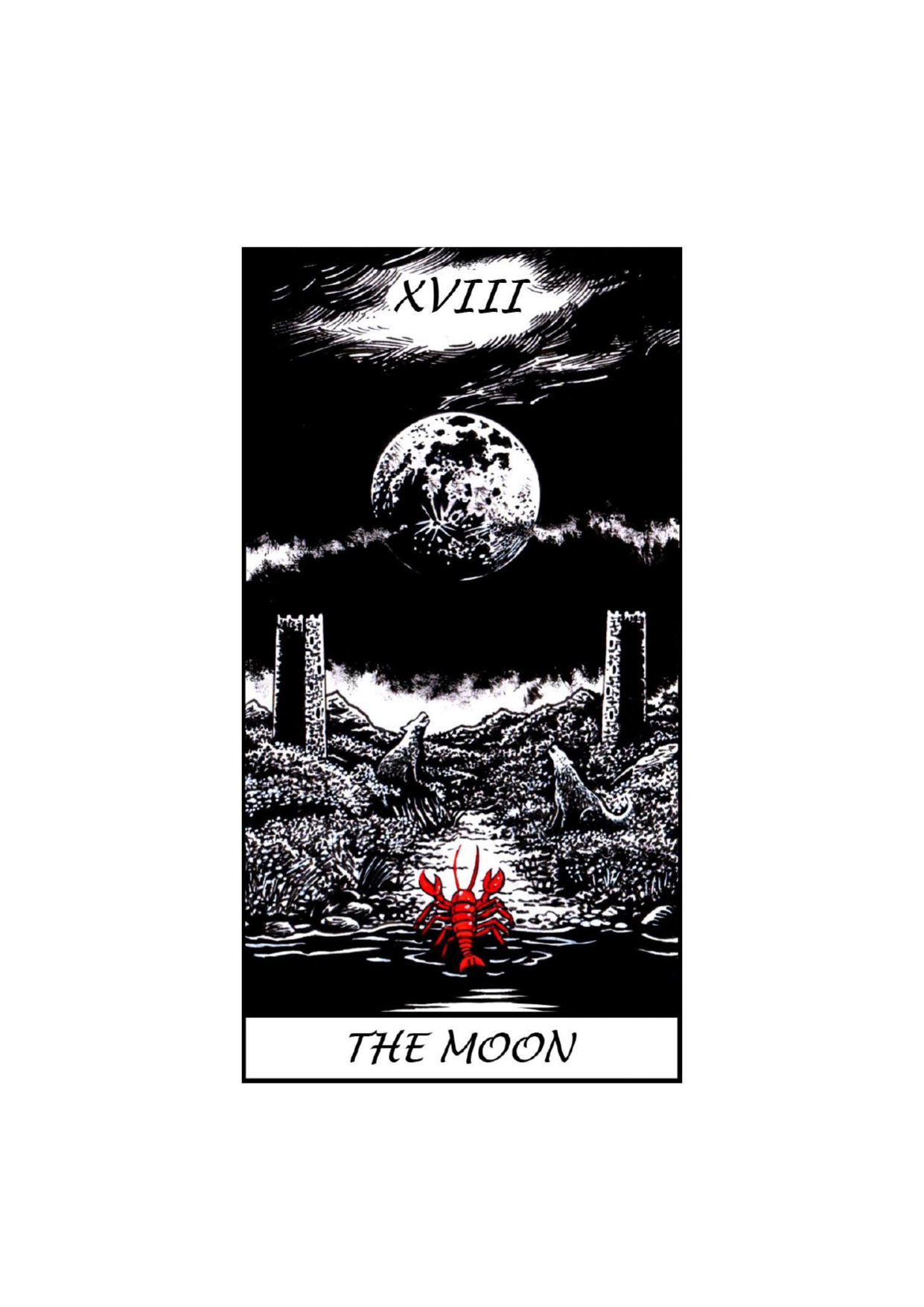 THE MOON